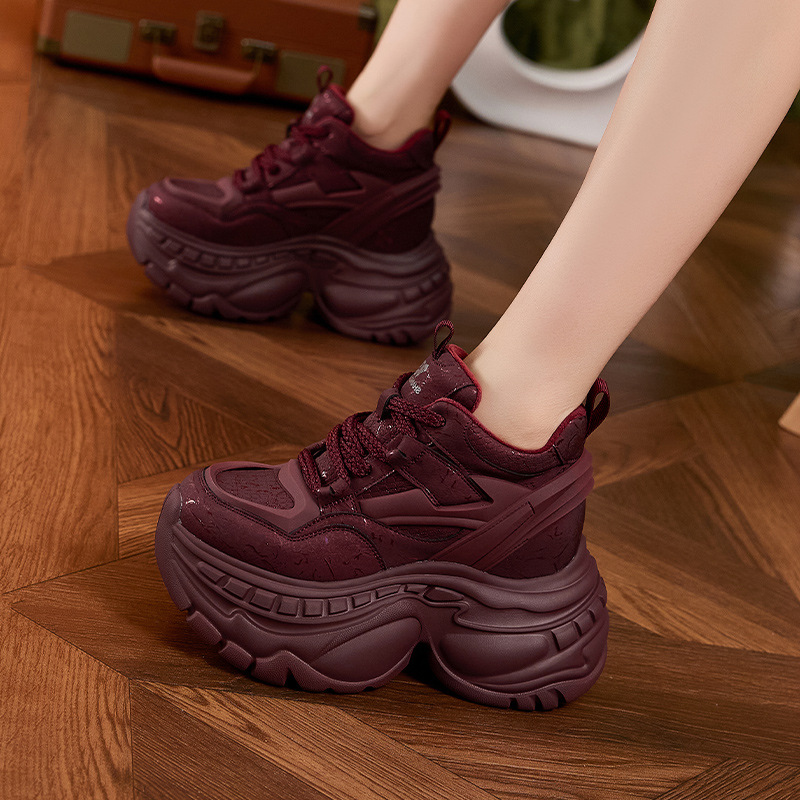 Fashion 9cm Thick Sole Dad Sho - đánh giá và giá Sewing Fleece